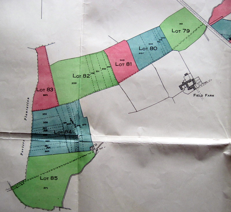 Map 2 – Detail of Lots in the South-Western part of the village.