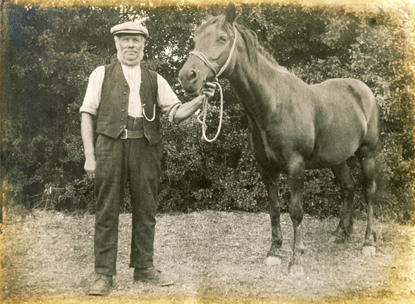 Elias Charles Walters (Lot 46 & 48) who rented the pasture known as ‘Sally Close’.