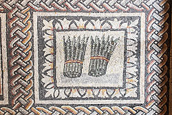 A Roman floor mosaic showing two rounds of asparagus.