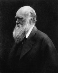 Charles Robert Darwin (1809-1882), naturalist and geologist