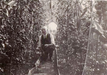This is William Skene Ross, the gardener at the Manor in the early 1920s, pictured in the glasshouse there.