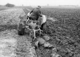 Freddie Padfield ploughing with a Ferguson