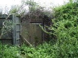 The Firs privy, 2008