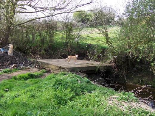 Aldington - Farm river bridge collapsed