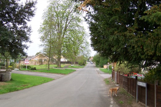 Main Street and Chestnut Close, April 2006.