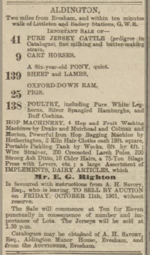 savory sale 1901