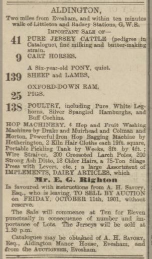 savory sale 1901