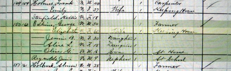 Edkins census 1880