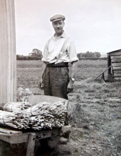 Jim Moisey (Lots 43, 50, 72, 73 & 74) with cut asparagus grown at Whitfurrows.