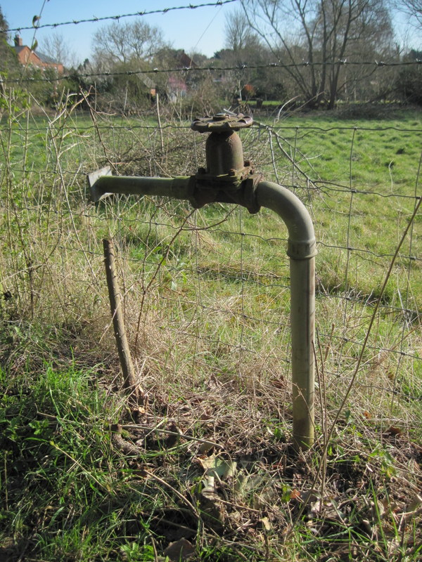 irrigation 1