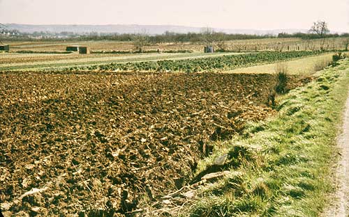 'North of Badsey - strips'.