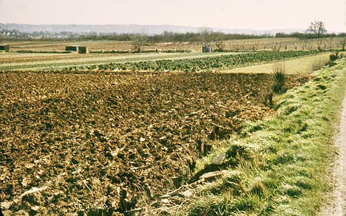 'North of Badsey - strips'. 