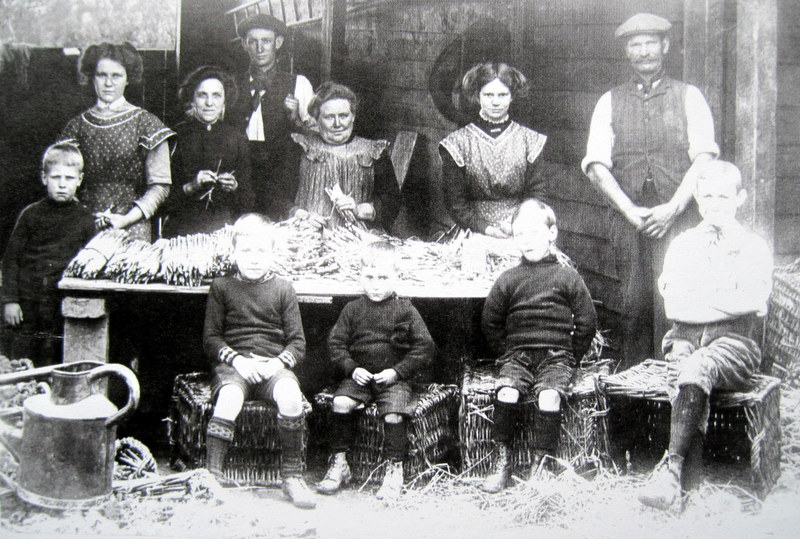 The Martin family all helping to tie bundles of asparagus, with parents Matilda, seated in the middle and Charles standing on the right.