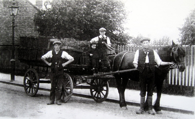 Charles Martin junior leading the horse with his brother, Fred, holding the reins.