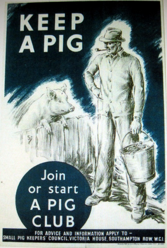 Pig Club