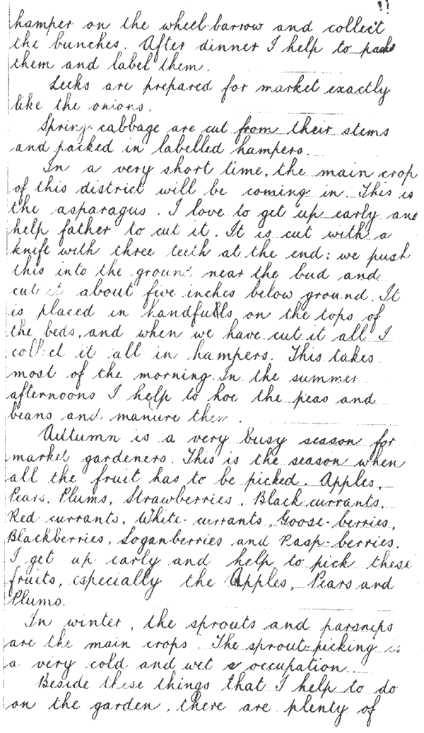 Letter written by B B Bayliss in 1933 