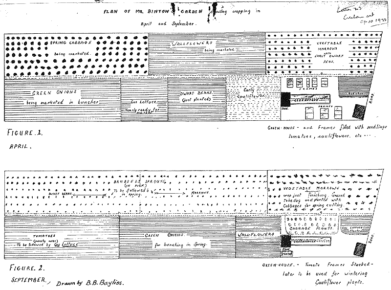 Letter written by B B Bayliss in 1933 