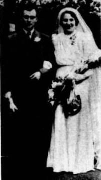 Haines Shelley