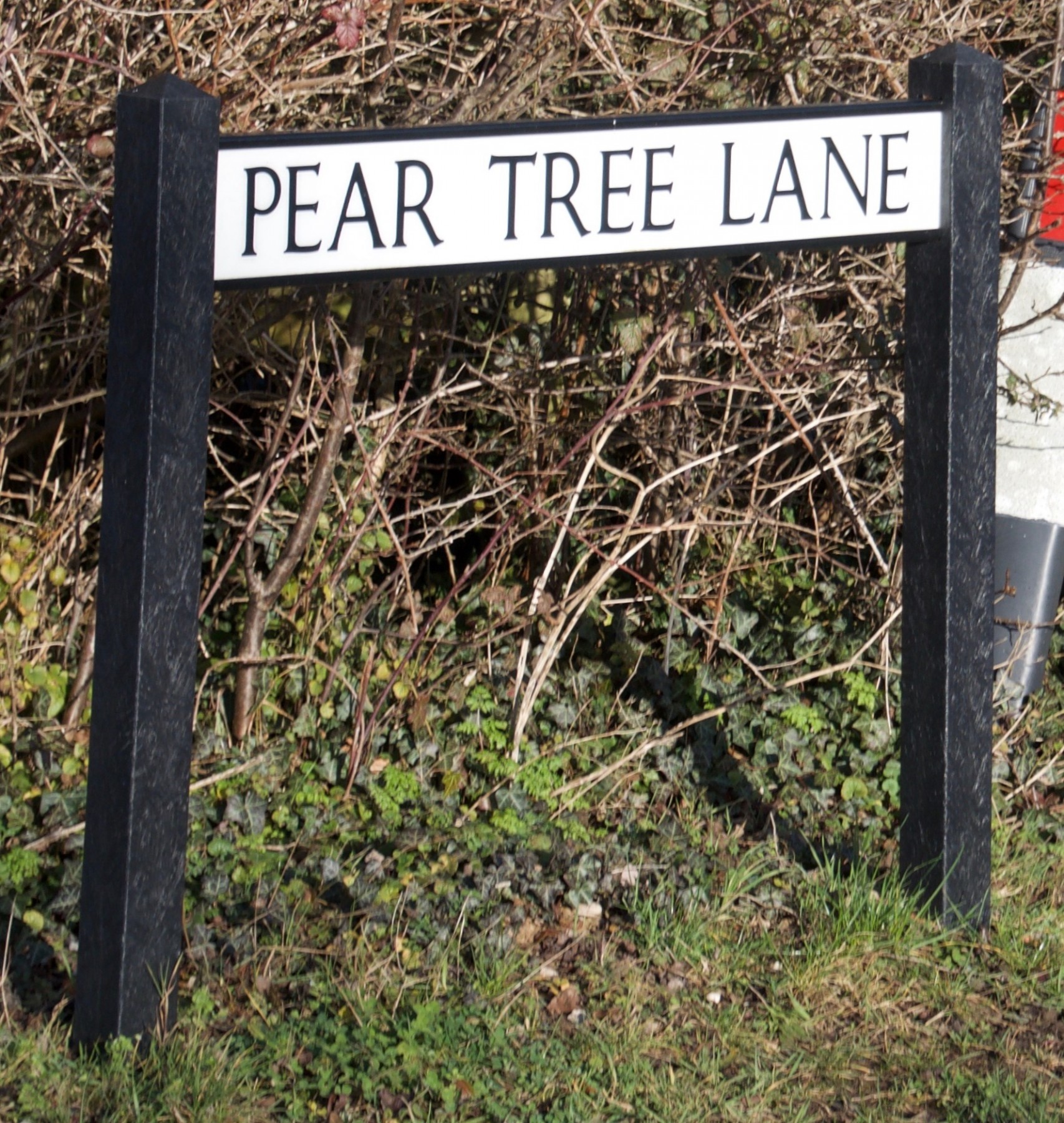 Pear%20Tree%20Lane%203.jpg