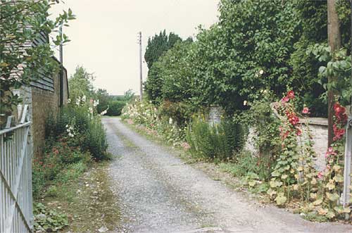 The driveway along the side of Seward House gardens