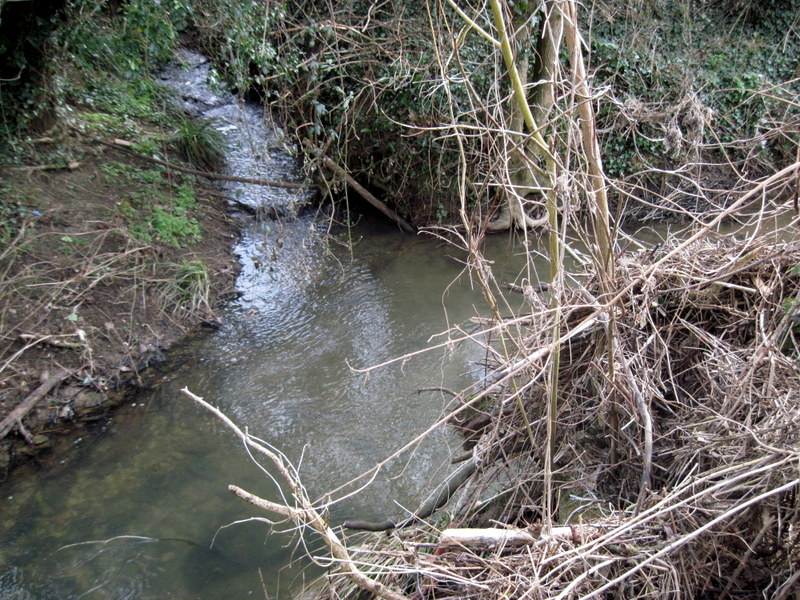 Wickhamford Brook