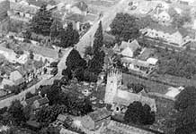 The tree is in the centre of this photograph of the High Street.