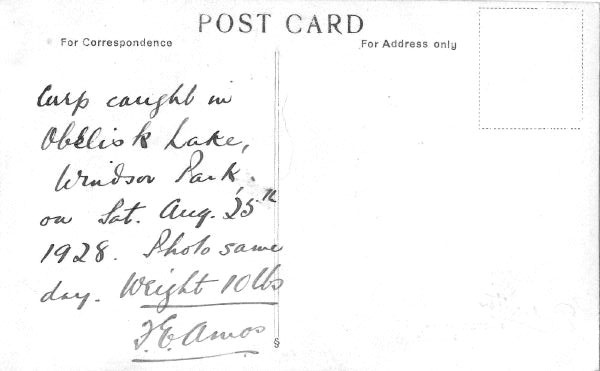Frank Amo postcard (back)