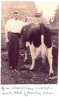 Jim Wheatley - 1930 - and the family cow