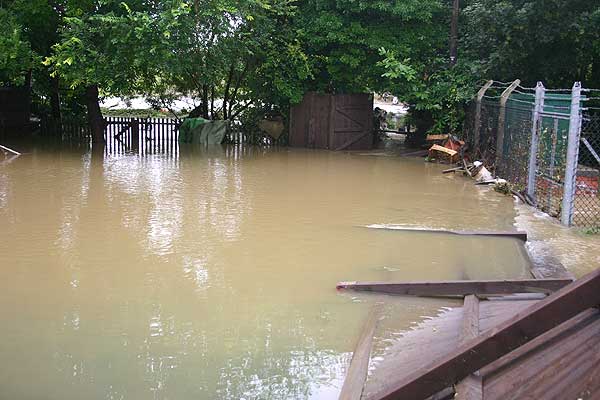 Monks Path looking towards Badsey Brook. Many fences and sheds have been demolished by the force of flooding. Photo: Richard Phillips.