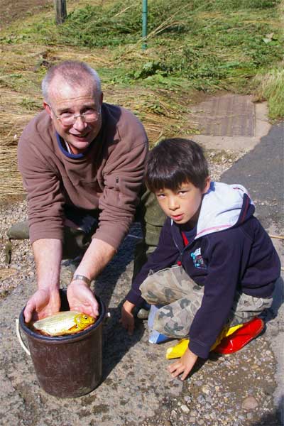 The aftermath (3 of 5). Sunday morning, John and Zinzan on a mercy mission to rescue ornamental fish which had been washed away from garden ponds. After the picture was taken, they were able to discover the owner of three fish and return them. Photo: Tony Spinks.