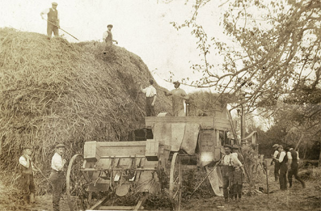 Bringing in the harvest