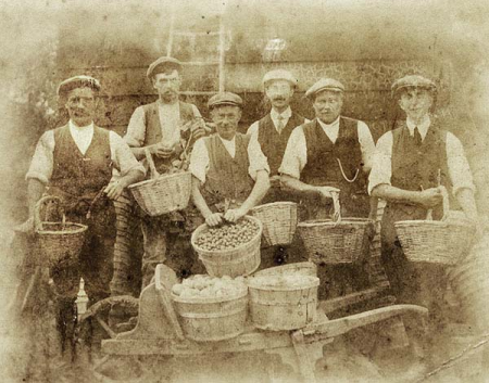 The ladder suggests these men have been picking plums and damsons. Left to right: Charles Mason of 32 Pitchers Hill, Arthur Davis, John Field of 71 Pitchers Hill, unknown, John Newbury, unknown.