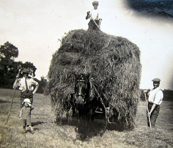 Joe Robbins with his nephew, little 'Georgy', father George on the wagon, and brother George.