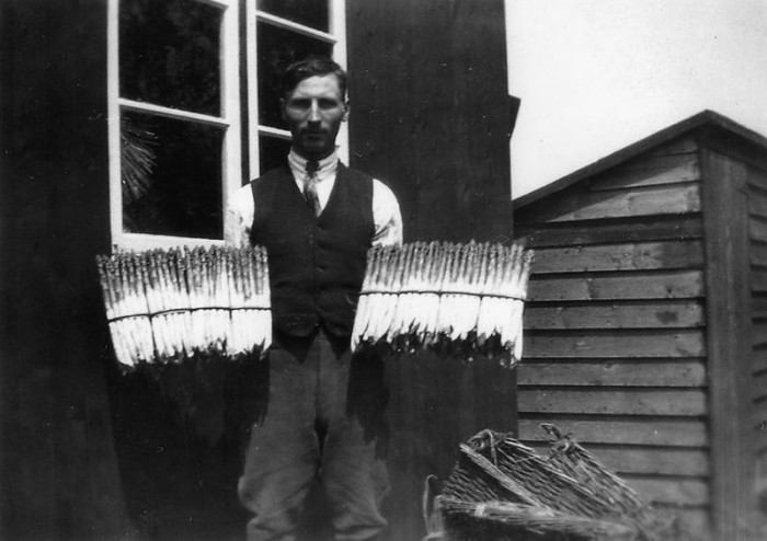 Ted proudly displaying a sample of his asparagus