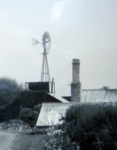Windpump at Richards Nursery.