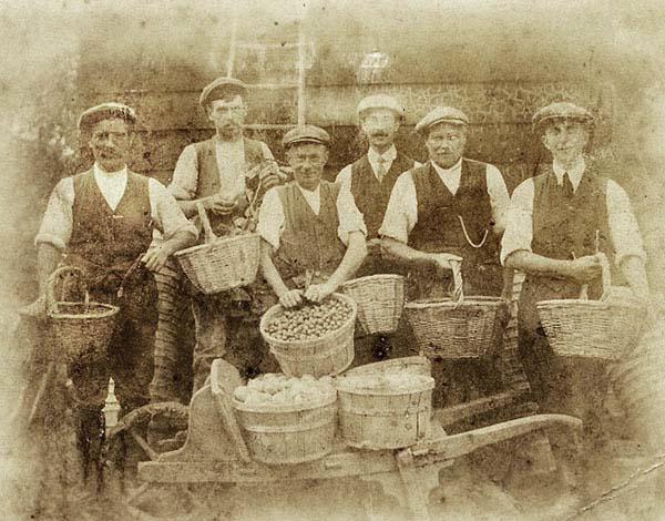 Plum picking in the village in the early 20th century