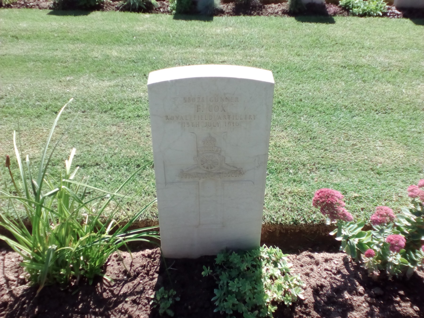 Frank Cox's grave, Salonika