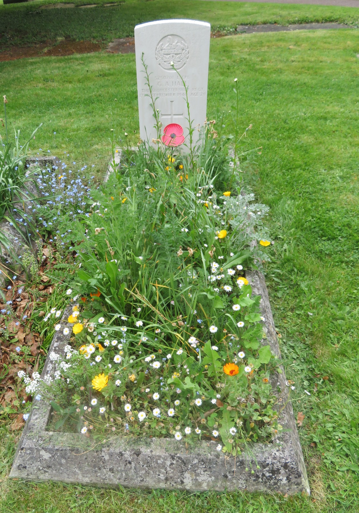 Hall ww2 grave