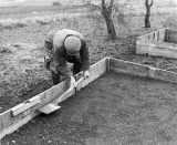 Levelling the soil in a cold frame