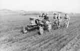 Land girls working with a David Brown tractor