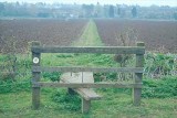 Monks Path, looking towards Badsey