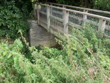 Badsey - Foot Bridge over Badsey Brook to Mill