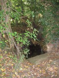 Footbridge over brook