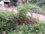 Badsey - Bridge by Tithe Barn