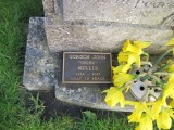 Plaque