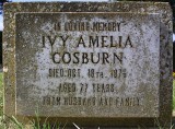 Ivy Cosburn detail