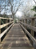 Bridge over Wickhamford Brook