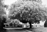 22-24 High Street from Brewers Lane