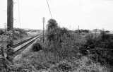 Station Road, parish boundary