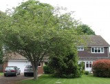 1 Allsebrook Gardens